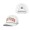 Houston Astros White Flag Flutter Hitch Snapback Hat