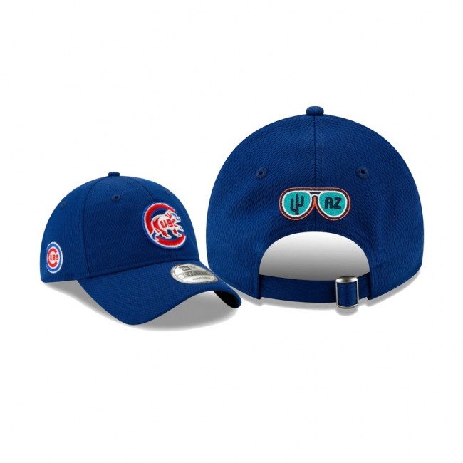 Men's Chicago Cubs 2021 Spring Training Royal 9TWENTY Adjustable Hat