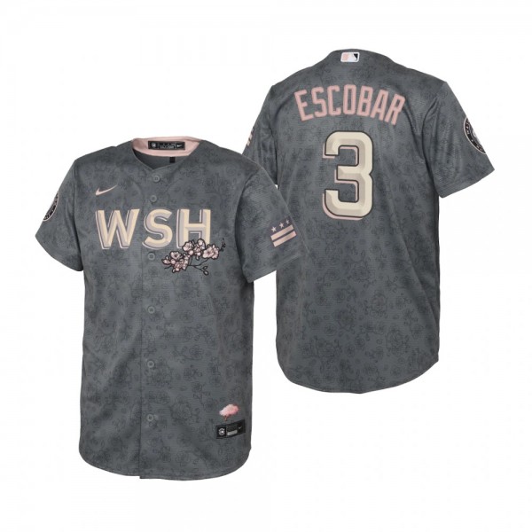 Youth Washington Nationals Alcides Escobar Nike Gray 2022 City Connect Replica Jersey